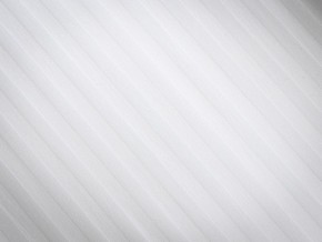 PROxSON Подушка Terra Ergo (Страйп сатин) 40x60 в Ноябрьске - noyabrsk.mebel24.online | фото 8