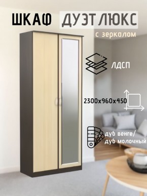 Шкаф 2-х створчатый Дуэт Люкс с зеркалом в Ноябрьске - noyabrsk.mebel24.online | фото