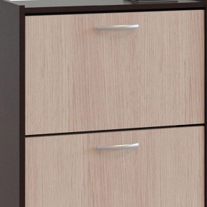 Шкаф для обуви ТО-24 в Ноябрьске - noyabrsk.mebel24.online | фото 4