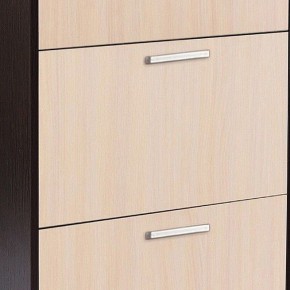 Шкаф для обуви УК-4 в Ноябрьске - noyabrsk.mebel24.online | фото 2