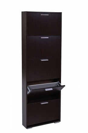 Шкаф для обуви УК-5 10000130 в Ноябрьске - noyabrsk.mebel24.online | фото