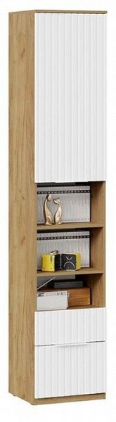 Шкаф комбинированный Хилтон Исп. 2 в Ноябрьске - noyabrsk.mebel24.online | фото 4