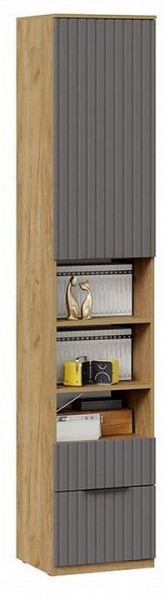 Шкаф комбинированный Хилтон Исп. 2 в Ноябрьске - noyabrsk.mebel24.online | фото 4