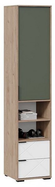Шкаф комбинированный Лео ТД-410.07.20 в Ноябрьске - noyabrsk.mebel24.online | фото