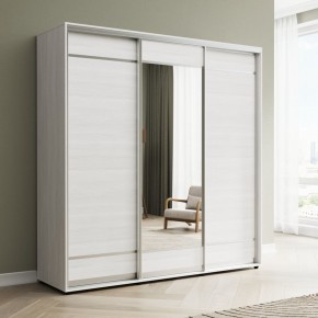 Шкаф-купе Акцент-Лайт ДЗ 1500-600 в Ноябрьске - noyabrsk.mebel24.online | фото 3