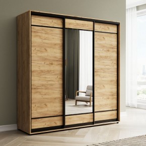 Шкаф-купе Акцент-Лайт ДЗ 1500-600 в Ноябрьске - noyabrsk.mebel24.online | фото 4
