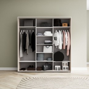 Шкаф-купе Акцент-Лайт ДЗ 1500-600 в Ноябрьске - noyabrsk.mebel24.online | фото 7