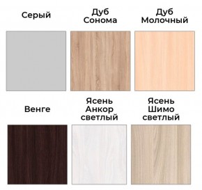 Шкаф-купе ХИТ 22-4-14-11 (420) в Ноябрьске - noyabrsk.mebel24.online | фото 5