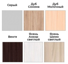 Шкаф-купе ХИТ 22-4-17-55 (420) в Ноябрьске - noyabrsk.mebel24.online | фото 3