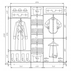 Шкаф-купе ХИТ 22-4-20-111 (420) в Ноябрьске - noyabrsk.mebel24.online | фото 2