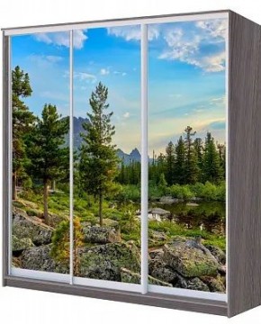 Шкаф-купе ХИТ 22-4-20/2-777 ПРИРОДА в Ноябрьске - noyabrsk.mebel24.online | фото