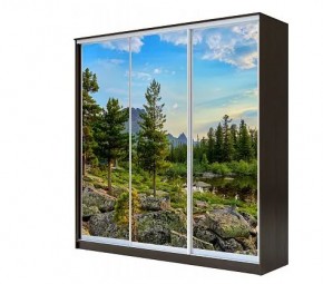 Шкаф-купе ХИТ 22-4-20-777 (420) в Ноябрьске - noyabrsk.mebel24.online | фото