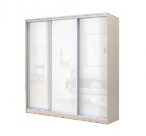 Шкаф-купе ХИТ 22-4-20-888 (420) в Ноябрьске - noyabrsk.mebel24.online | фото 4