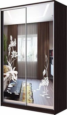 Шкаф-купе ХИТ 23-17-66 ЦАПЛИ в Ноябрьске - noyabrsk.mebel24.online | фото