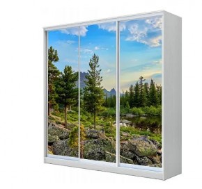 Шкаф-купе ХИТ 23-18-777 (620) в Ноябрьске - noyabrsk.mebel24.online | фото