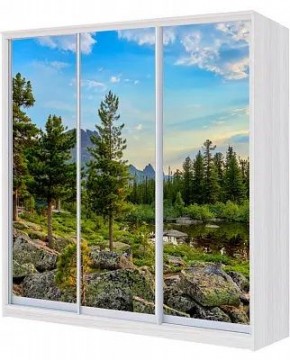 Шкаф-купе ХИТ 23-4-20/2-777 ПРИРОДА в Ноябрьске - noyabrsk.mebel24.online | фото