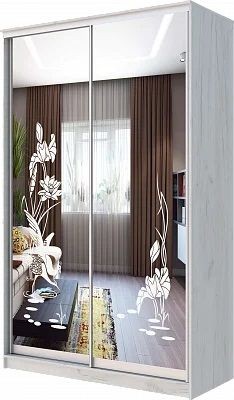 Шкаф-купе ХИТ 24-14-66 ЦАПЛИ в Ноябрьске - noyabrsk.mebel24.online | фото