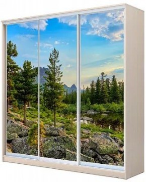 Шкаф-купе ХИТ 24-4-20-777 ПРИРОДА в Ноябрьске - noyabrsk.mebel24.online | фото
