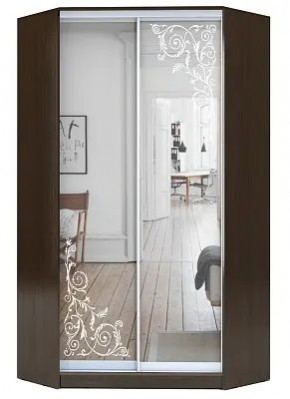Шкаф-купе ХИТ-У-23-4-66 ОРНАМЕНТ в Ноябрьске - noyabrsk.mebel24.online | фото