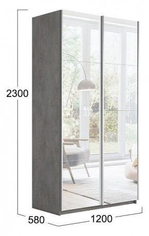 Шкаф-купе Траст СШК 2.120.60-13.13 в Ноябрьске - noyabrsk.mebel24.online | фото 3
