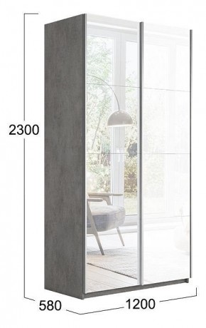 Шкаф-купе Траст СШК 2.120.60-13.15 в Ноябрьске - noyabrsk.mebel24.online | фото 3