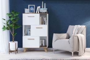 Шкаф низкий с нишами Вега Скандинавия в Ноябрьске - noyabrsk.mebel24.online | фото 4