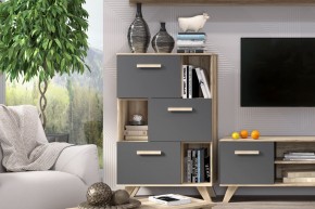 Шкаф низкий с нишами Вега Скандинавия в Ноябрьске - noyabrsk.mebel24.online | фото 6