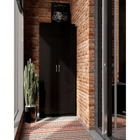 Шкаф ПЕГАС двухдверный, цвет Дуб Венге в Ноябрьске - noyabrsk.mebel24.online | фото 4