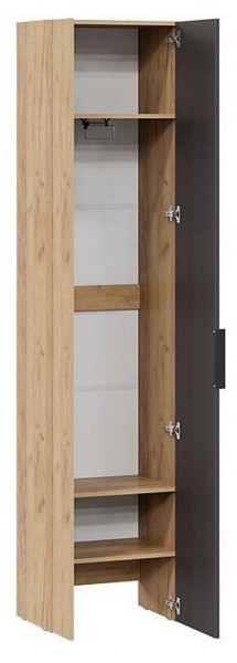 Шкаф платяной Асти в Ноябрьске - noyabrsk.mebel24.online | фото 2
