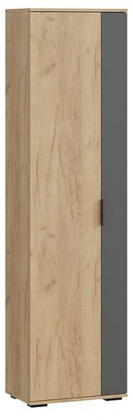 Шкаф платяной Эвита в Ноябрьске - noyabrsk.mebel24.online | фото