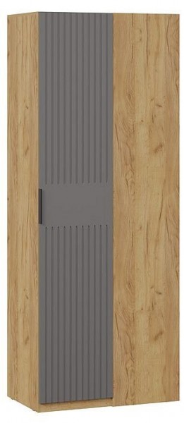 Шкаф платяной Хилтон в Ноябрьске - noyabrsk.mebel24.online | фото