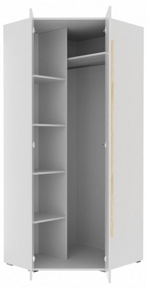 Шкаф платяной Куба 1725.М3 в Ноябрьске - noyabrsk.mebel24.online | фото 11