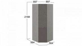 Шкаф платяной Либерти СМ-297.07.033 в Ноябрьске - noyabrsk.mebel24.online | фото 3