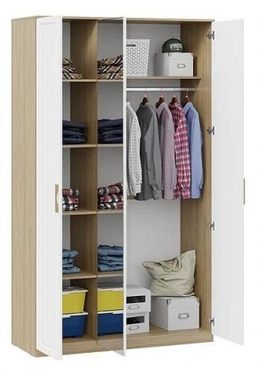 Шкаф платяной Сэнди в Ноябрьске - noyabrsk.mebel24.online | фото 3