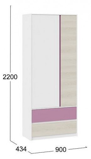 Шкаф платяной Сканди в Ноябрьске - noyabrsk.mebel24.online | фото 5