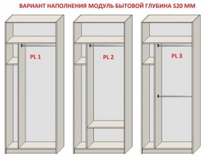 Шкаф распашной серия «ЗЕВС» (PL3/С1/PL2) Серый камень/Небраска натуральный в Ноябрьске - noyabrsk.mebel24.online | фото 5