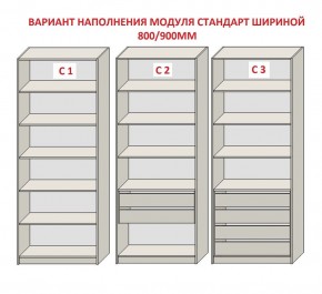 Шкаф распашной серия «ЗЕВС» (PL3/С1/PL2) Серый камень/Небраска натуральный в Ноябрьске - noyabrsk.mebel24.online | фото 6