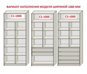 Шкаф распашной серия «ЗЕВС» (PL3/С1/PL2) Серый камень/Небраска натуральный в Ноябрьске - noyabrsk.mebel24.online | фото 7