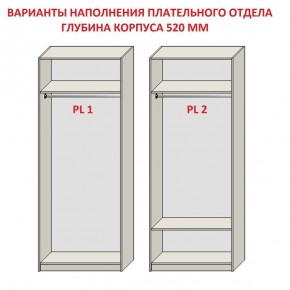 Шкаф распашной серия «ЗЕВС» (PL3/С1/PL2) Серый камень/Небраска натуральный в Ноябрьске - noyabrsk.mebel24.online | фото 9