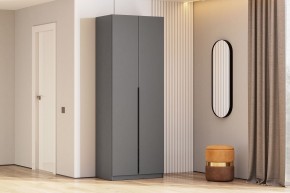 Шкаф ШК-5 + 2 полки (800) Графит серый в Ноябрьске - noyabrsk.mebel24.online | фото 2