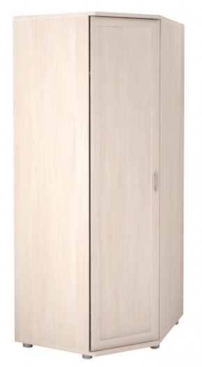 Шкаф угловой для одежды Ника-Люкс 30 без зеркал в Ноябрьске - noyabrsk.mebel24.online | фото 2