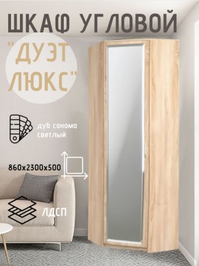 Шкаф угловой Дуэт Люкс с зеркалом в Ноябрьске - noyabrsk.mebel24.online | фото