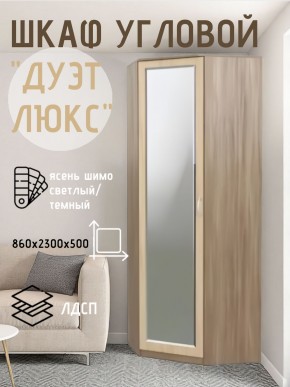 Шкаф угловой Дуэт Люкс с зеркалом в Ноябрьске - noyabrsk.mebel24.online | фото 3