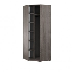 Шкаф угловой Теана ясень анкор темный/зеркало в Ноябрьске - noyabrsk.mebel24.online | фото 2