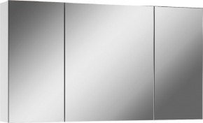 Шкаф-зеркало Мечта 100 АЙСБЕРГ (DM2322HZ) в Ноябрьске - noyabrsk.mebel24.online | фото 1