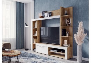 Стенка для гостиной Касэль в Ноябрьске - noyabrsk.mebel24.online | фото 2