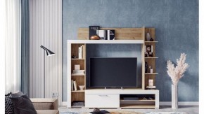 Стенка для гостиной Касэль в Ноябрьске - noyabrsk.mebel24.online | фото 3