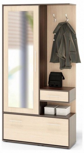 Стенка для прихожей ВШ-6 в Ноябрьске - noyabrsk.mebel24.online | фото