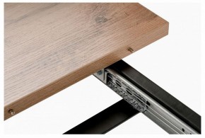 Стол обеденный Лота Лофт в Ноябрьске - noyabrsk.mebel24.online | фото 6
