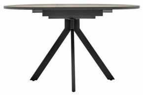Стол обеденный Rudolf в Ноябрьске - noyabrsk.mebel24.online | фото 7